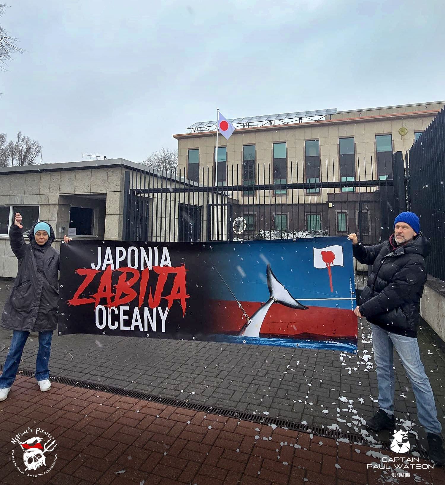 Japonia wraz z Norwegią i Islandią niszczą oceany zabijając wieloryby. A tym samym i planetę.