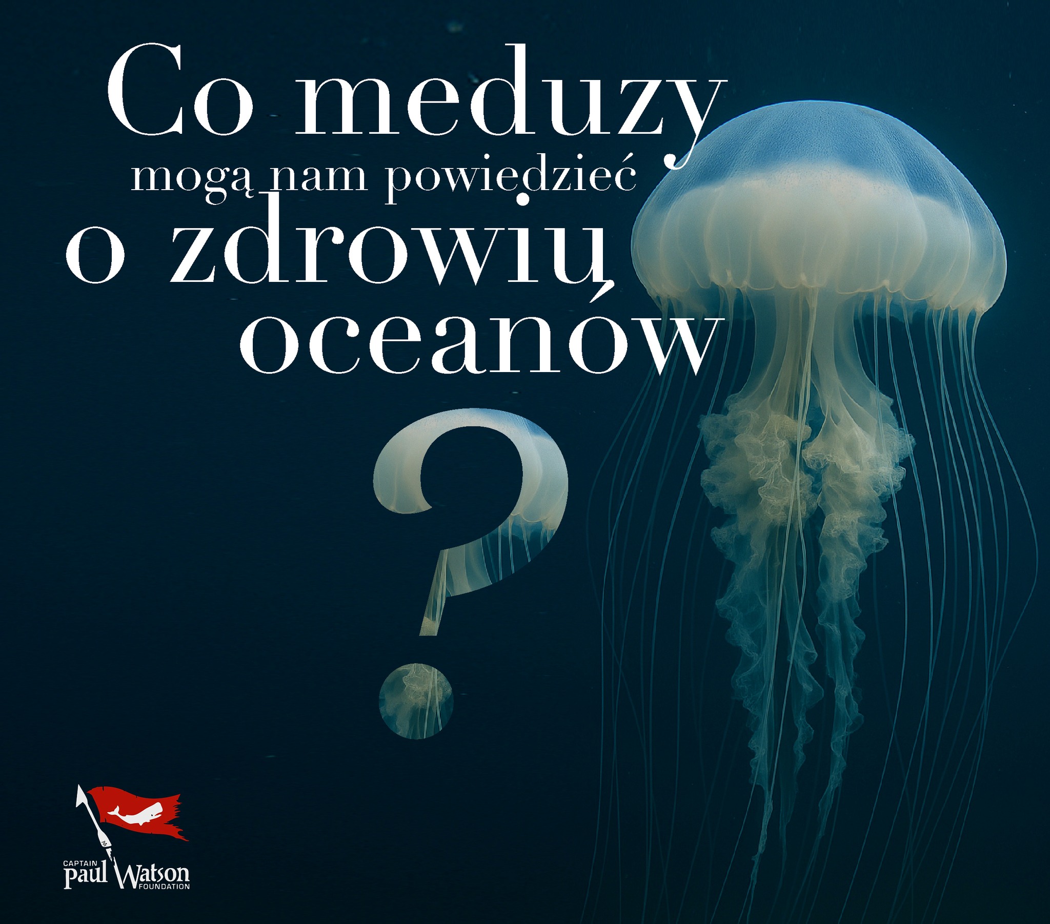 Światowy Dzień Meduz