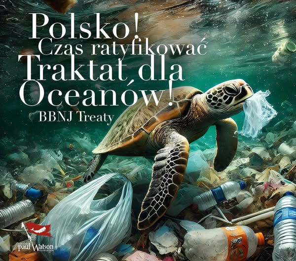 APEL DO POLSKICH WŁADZ: CZAS RATYFIKOWAĆ TRAKTAT DLA OCEANÓW!